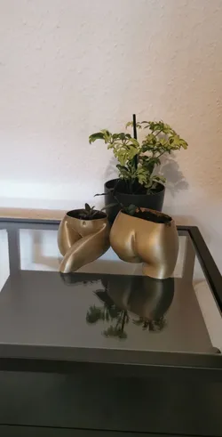 Naked Girl Pots (standing+sitting)