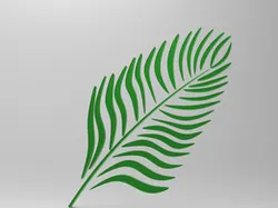 Palm Leaf