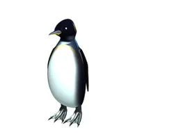 Pinguin