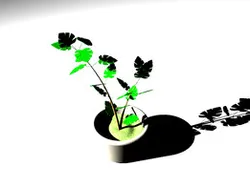 Plant