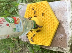 Remix for the 176mm Awesome Bee Feeder