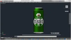 Tuborg beer can