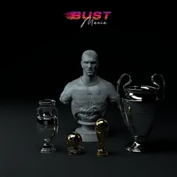 Zinedine Zidane Premium Trophy Diorama STL