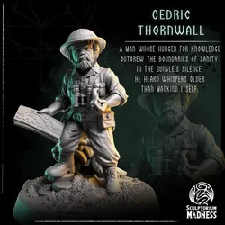 The Lost Expedition - Cedric Thornwall