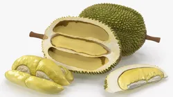 Tropical Food Durian Fruit Whole with Cut Section 3D model