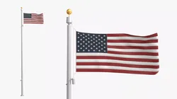 USA Flag Wind Loop Animated For Blender 3D model