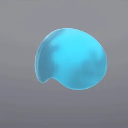 Face Shield
