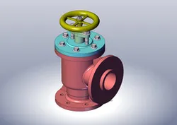 FEED CHECK VALVE