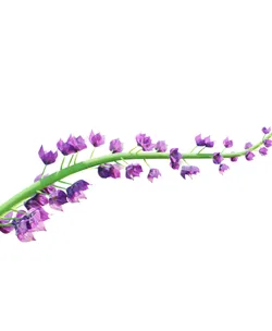 Geometry Nodes Flower in Blender 3.0