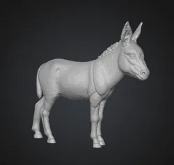 Miniature Donkey
