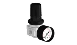 R202 pressure regulator