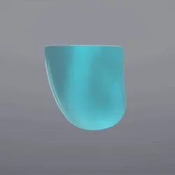 Face Shield