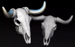 Bull Skull with Separate Horns