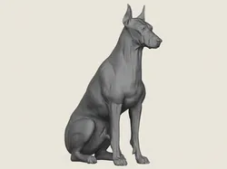 Doberman Dog Sitting 3D Print Model in Animals 617660