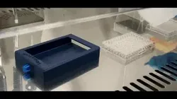 Filter plate 96 wells for cytometry v4