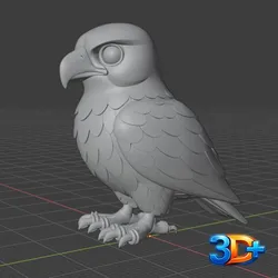 hawk
