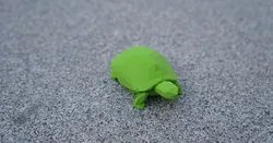 Low Poly Schildkröte