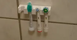 Toothbrush holder