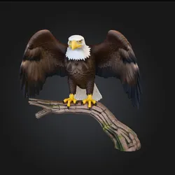 Bald Eagle on a Branch