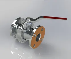 Water Check Valve