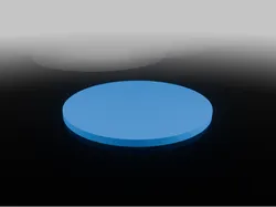 blank coin