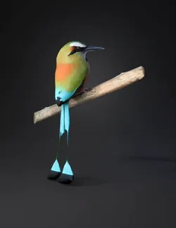 colorful long tailed bird with green body orange chest and blue tail