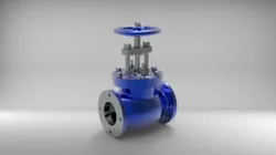Globe Valve