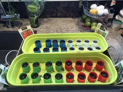 Mini planting/seeding pot for peat briquettes