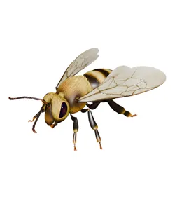Swap_Bee_Animted.glb