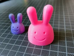 Big Bunny Head