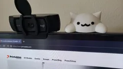 Bongo Cat Monitor Mount, Cute Webcam Kitty Buddy