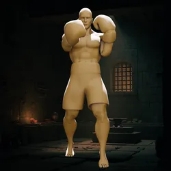 Male Boxer