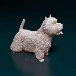 West highland white terrier