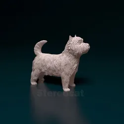 West highland white terrier
