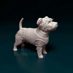 West highland white terrier