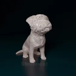 West highland white terrier