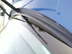 BMW E46 Windshield Cowl Seal Repair