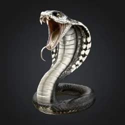 Cobra Display Model