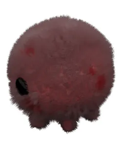 Cute Plushy