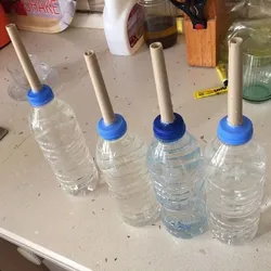 plant watering