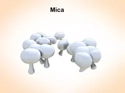 Mica mushrooms 3D model