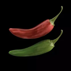 Peppers two chili 3D model