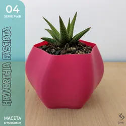 Pot B_04