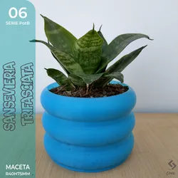 PotB_06