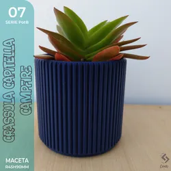 PotB_07