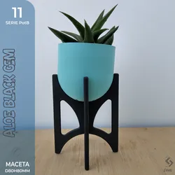 PotB_11
