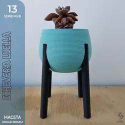 PotB_13