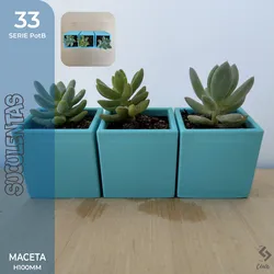 PotB_33