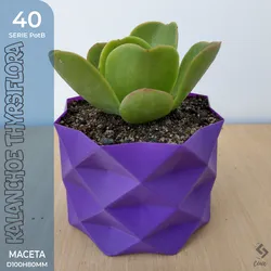 PotB_40