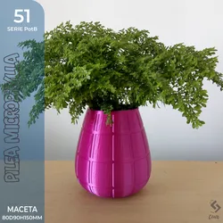 PotB_51